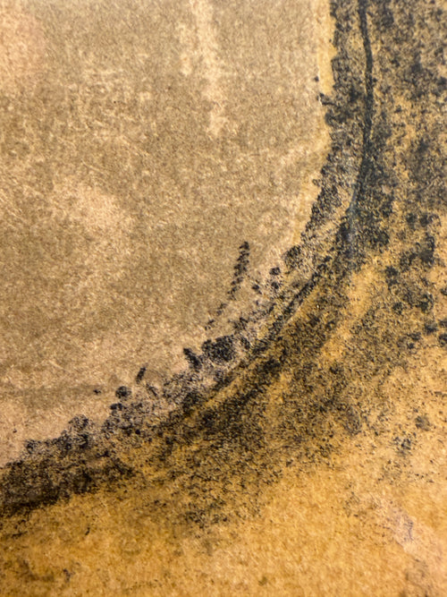 Color lithograph landscape by Zao Wou-Ki