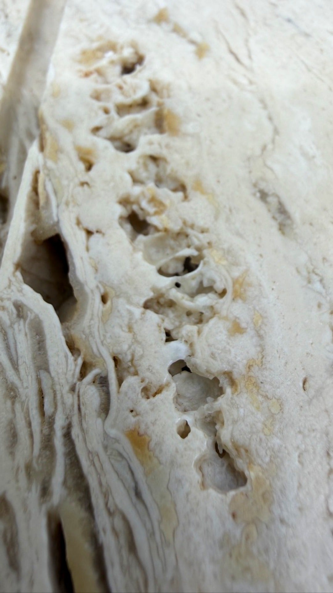 Elefant von Fratelli Manelli